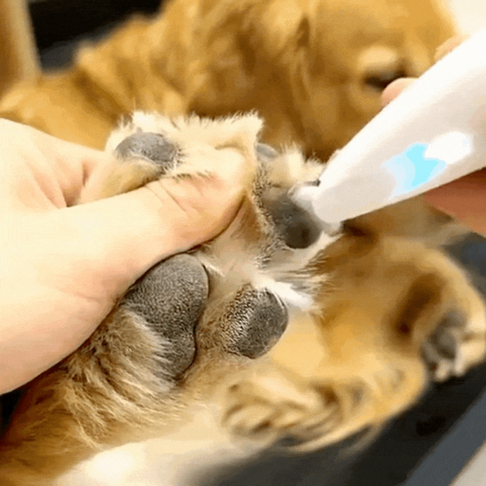 WePet Groom - קוצץ פרווה עדין לטיפוח חיות מחמד