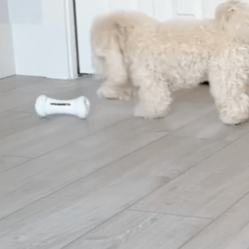 WePet Play - צעצוע אינטראקטיבי חכם בצורת עצם לכלבים