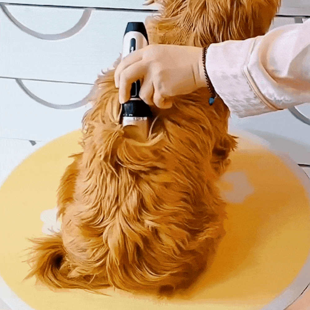 WeTrim - מכונת תספורת אלחוטית לכלבים