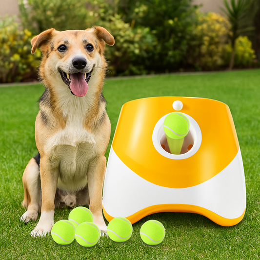 WePet Chase - משגר כדורים אוטומטי