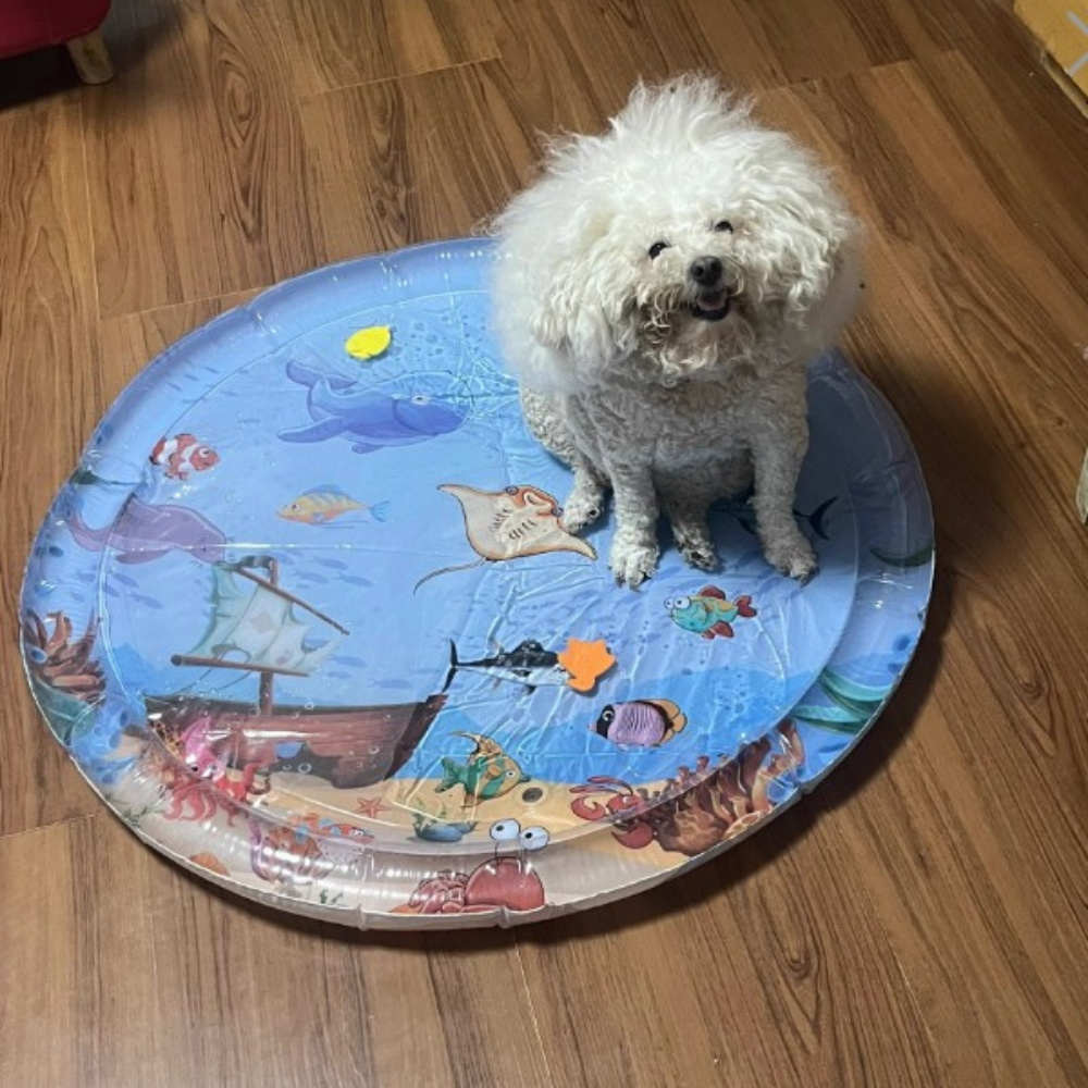 WePet Splash - מזרן מים אינטראקטיבי לחיות מחמד