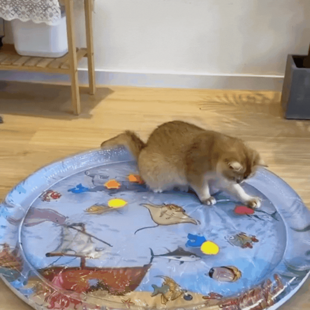 WePet Splash - מזרן מים אינטראקטיבי לחיות מחמד